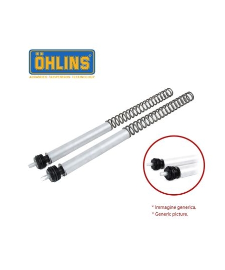 KIT ÖHLINS RESSORTS HIMALAYAN 410 - BOUCHON RÉGLAGE PRECHARGE - AVANT